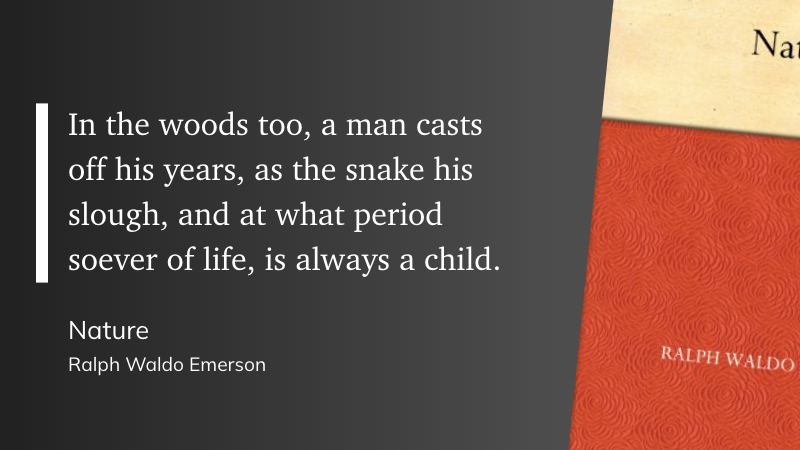 michael ken tweet media