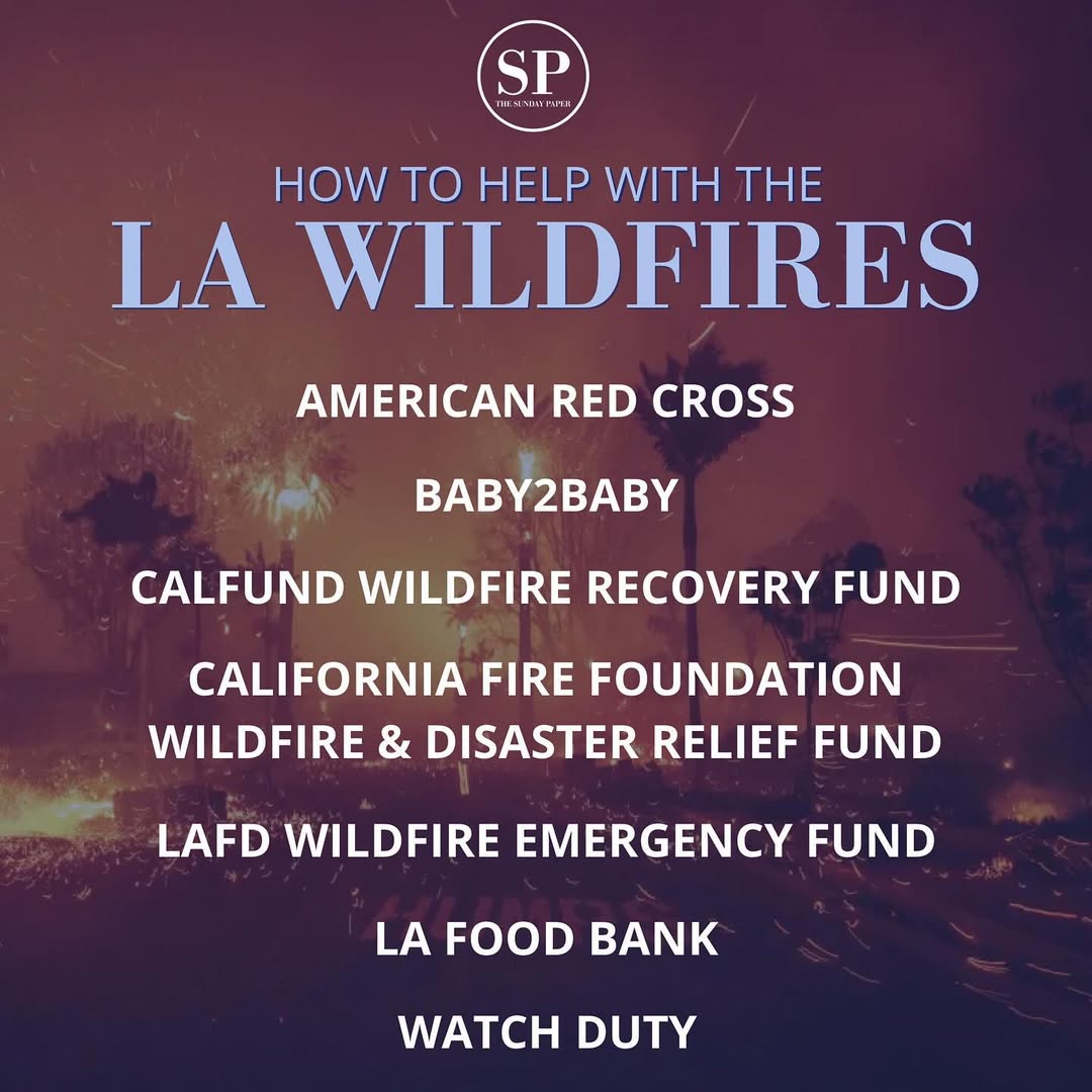 Maria Shriver tweet media