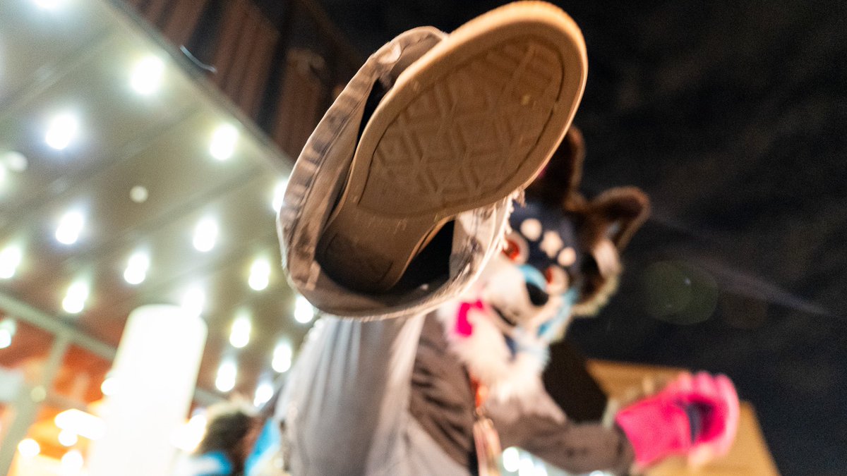 BloodMoonFurs's tweet image. A few more from my Jinx outing during #PDFC2025. She was so much fun to work with and can’t wait til #FWA