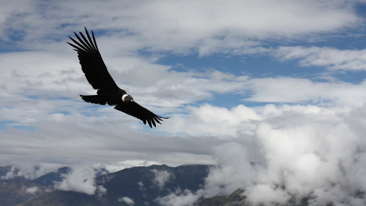 CarlGreer's tweet image. The beginning of a new year is a good time to write a new story for yourself. Learn more: carlgreer.com/new-year-new-s…
#newyearnewyou #transformation #resolutions