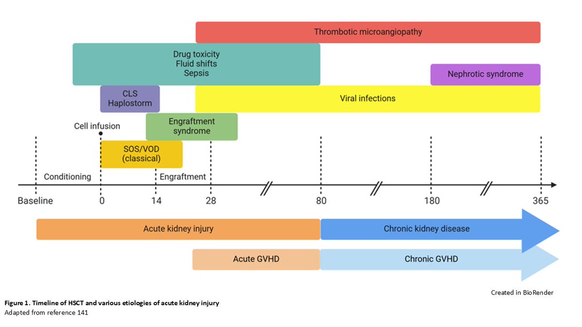 Hematopoietic stem cell transplantation (HSCT) is a potentially curative therapy for patients with hematologic malignancies and certain solid tumors and nonmalignant hematologic conditions. In this article, the authors review the epidemiology, risk factors, etiologies,