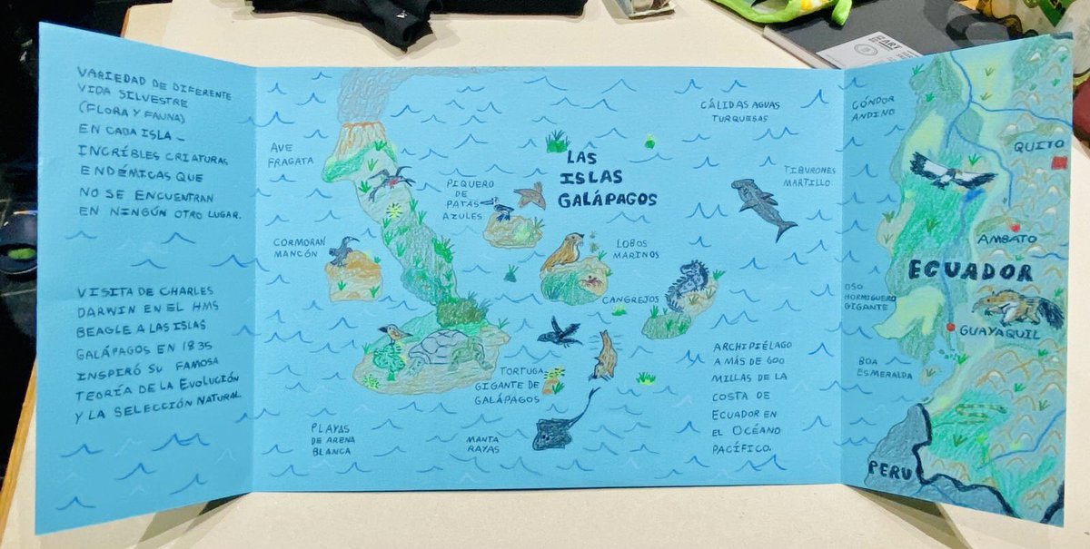 Animal inspired Spanish homework on Las Islas Galápagos 🐢 🏝️ 💚 … couldn’t resist a map 😊