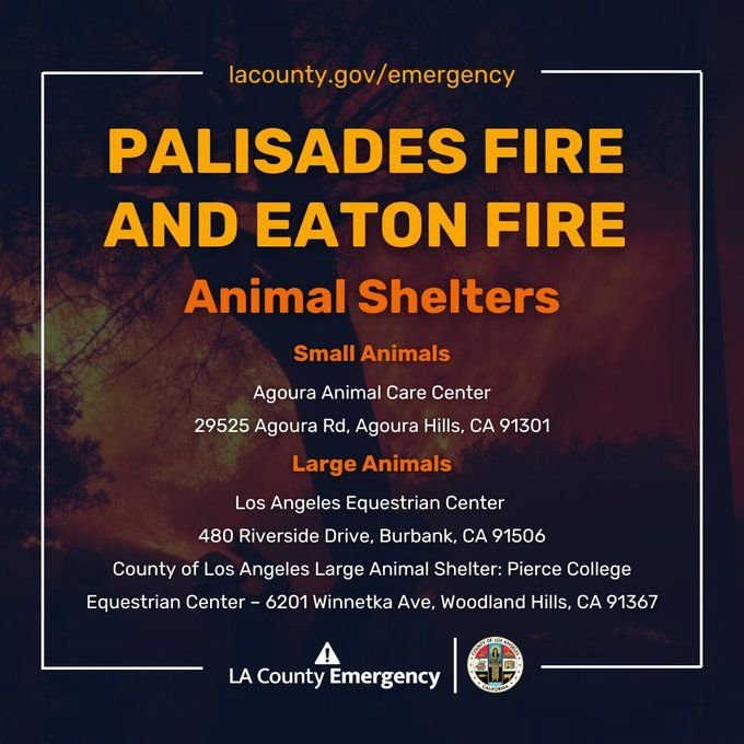 RedRover tweet media