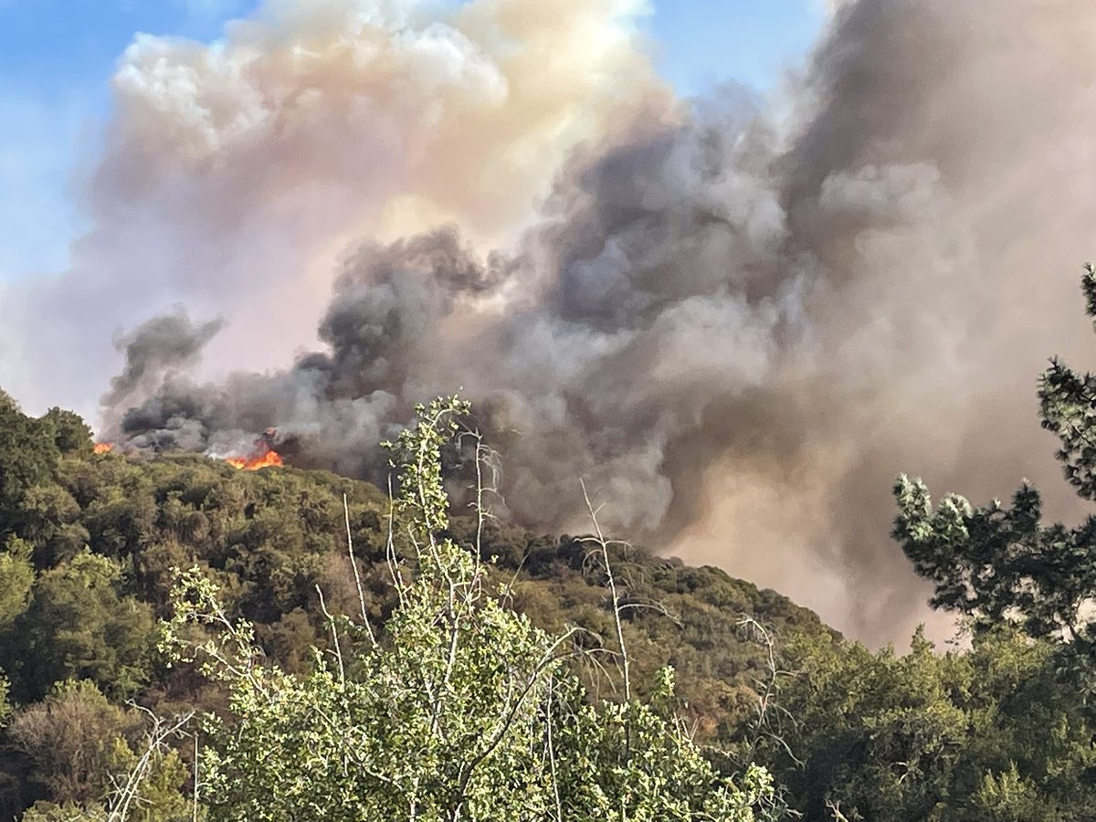 Looks like the first structure in Topanga proper has been lost.  Behind the old market and Topanga Lumber on the hill. 
We need air resources!