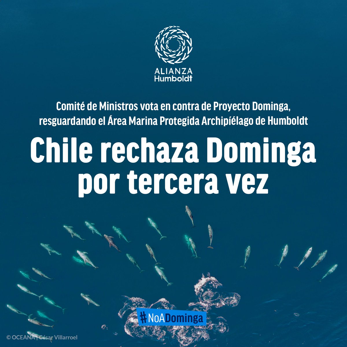 OceanaChile's tweet photo. #NoADominga | ¡Comité de Ministros rechaza de forma unánime proyecto Dominga!
 
Por tercera vez se rechaza el controvertido proyecto minero portuario, el cual tiene un historial de más de una década vinculándose a conocidos casos de conflictos de interés, además de amplia evidencia científica que demuestra el riesgo que significaría para el Área Marina Protegida Archipiélago de Humboldt.