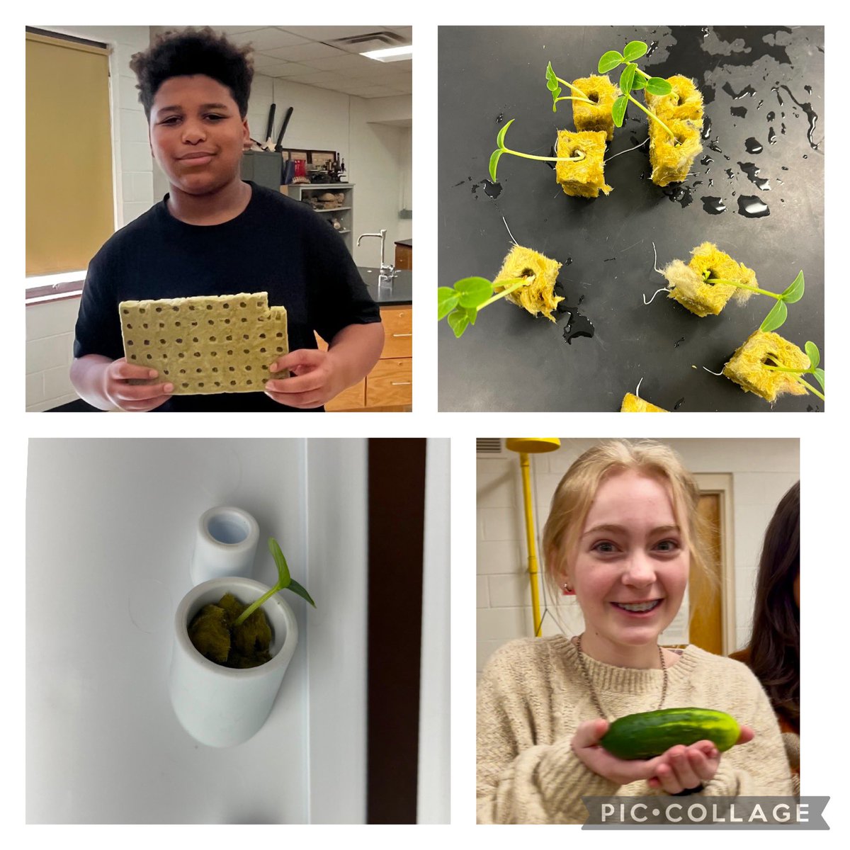 Gresham Gardeners are back at it! 🌱🥒