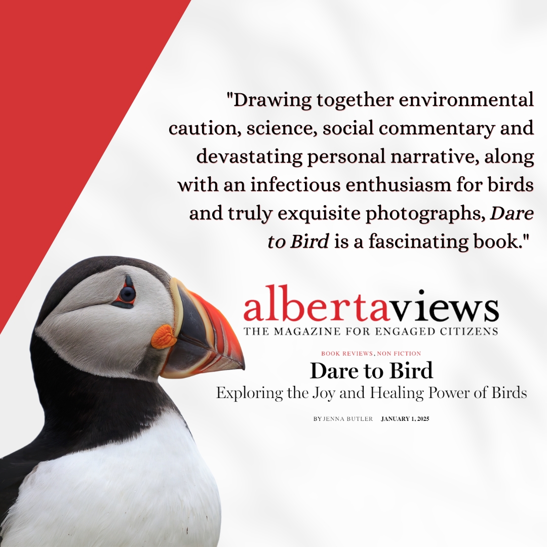 rmbooks's tweet image. Thank you to Jenna Butler at @albertaviews  for this thoughtful review of Dare to Bird by Melissa Hafting! Take a look at the full review albertaviews.ca/dare-to-bird/

If you’re looking for a book that blends breathtaking photography with powerful storytelling, this is it 📚🐦‍⬛