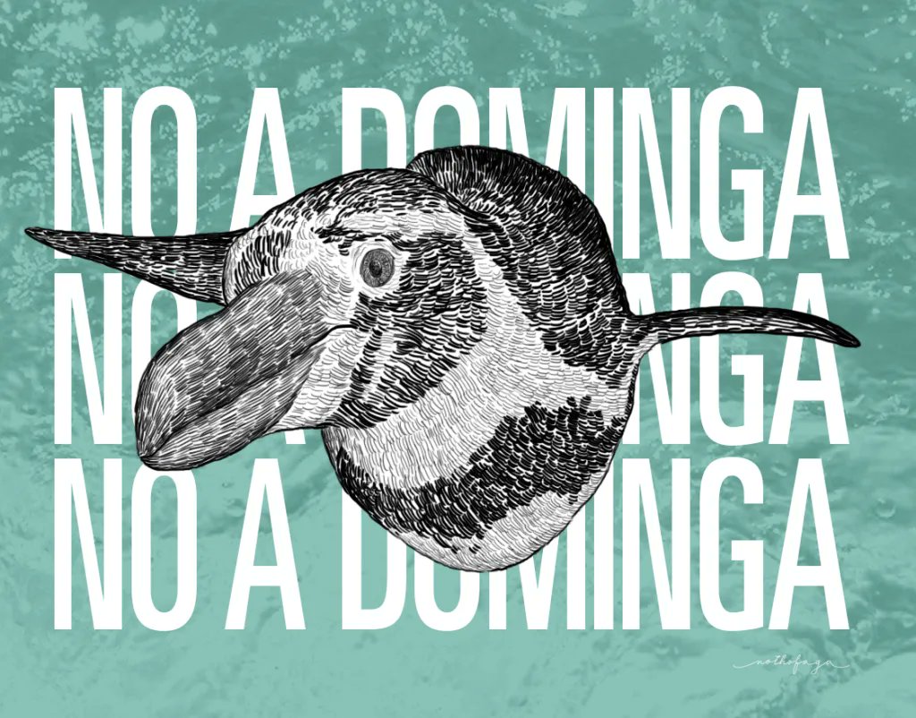 Se rechaza Dominga, debido a que no es un buen proyecto en lo técnico. El impacto de la escala de esté, en un hot spot ambiental es muy grande y nos expone a la crisis climática y ecológica. Sumado a que es un proyecto que tiene una trama impresentable de corrupción.