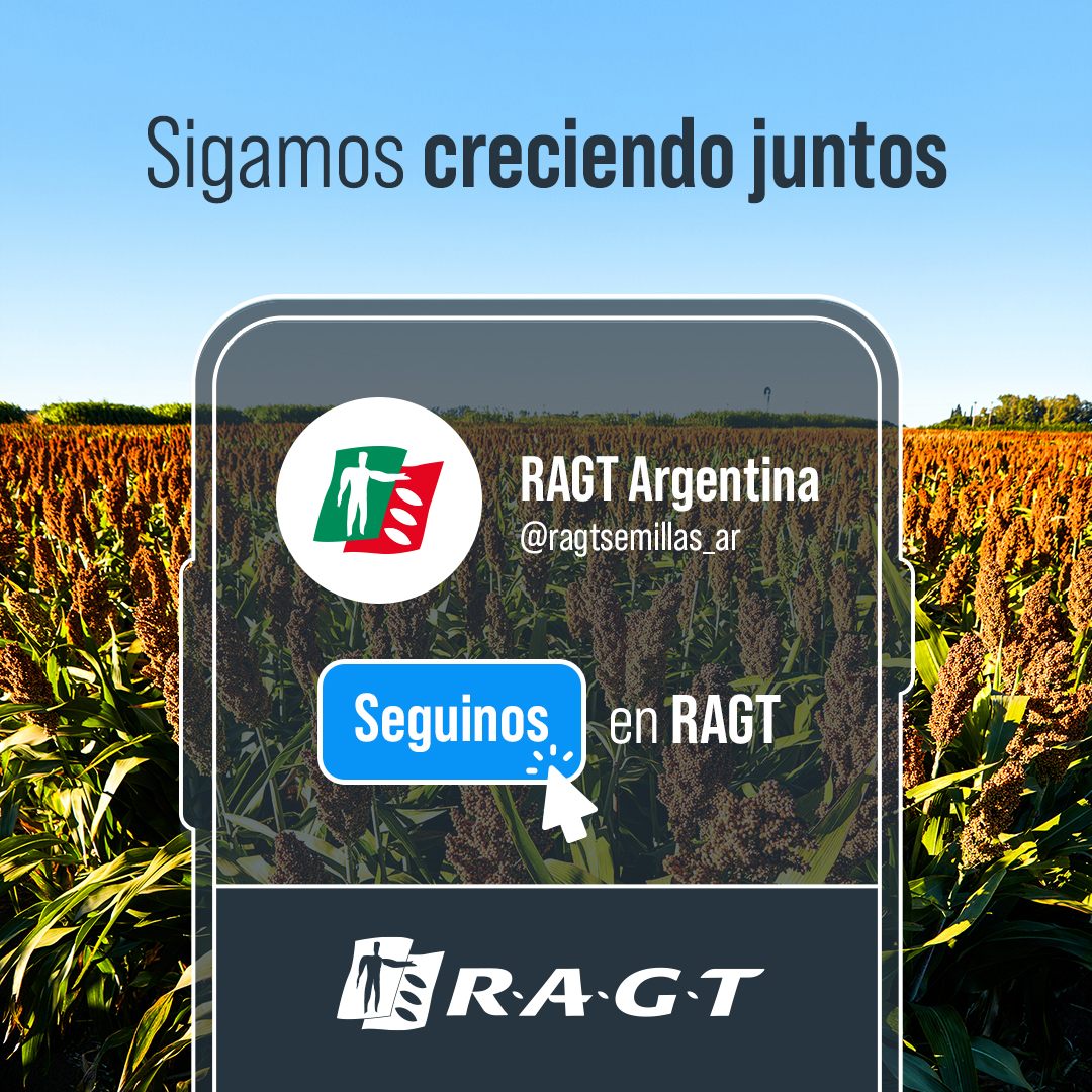 Tobin Semillas (@tobinsemillas) on Twitter photo ¡Tobin ahora es RAGT! 🎉
A partir de hoy, encontrarás toda la info sobre los mejores sorgos y nuestras innovaciones en <a href="/ragtsemillas_ar/">𝗥𝗔𝗚𝗧 𝗦𝗲𝗺𝗶𝗹𝗹𝗮𝘀</a>
🌟 Te invitamos a ser parte de la comunidad RAGT y descubrir lo último en el mundo del agro. ¡Gracias x acompañarnos en este gran cambio! 💚❤️ ¡Tobin ahora es RAGT! 🎉
A partir de hoy, encontrarás toda la info sobre los mejores sorgos y nuestras innovaciones en <a href="/ragtsemillas_ar/">𝗥𝗔𝗚𝗧 𝗦𝗲𝗺𝗶𝗹𝗹𝗮𝘀</a>
🌟 Te invitamos a ser parte de la comunidad RAGT y descubrir lo último en el mundo del agro. ¡Gracias x acompañarnos en este gran cambio! 💚❤️