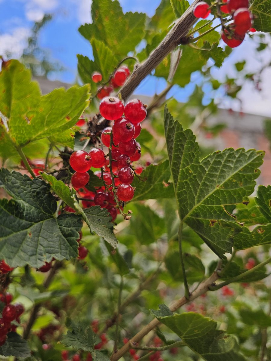 SIRIRI Turismo Rural tweet media