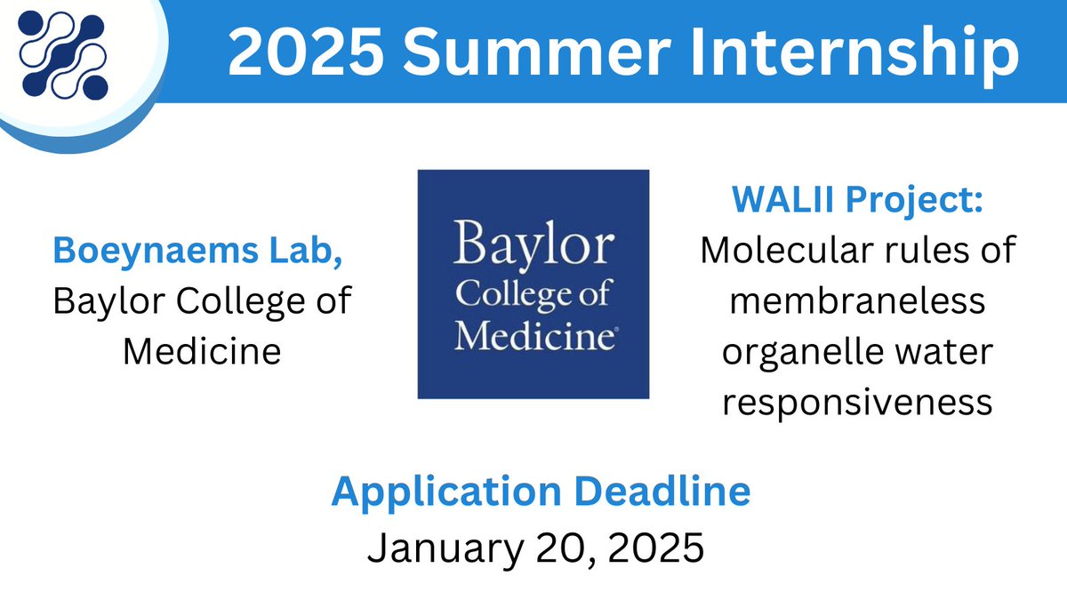 ⏳ 10 days left! Don’t miss this opportunity to apply for a summer internship in the @BoeynaemsSteven Lab and spend your summer uncovering molecular rules of membraneless organelle water responsiveness.
📅 Deadline: January 20, 2025
💻 Apply: walii.science/careers