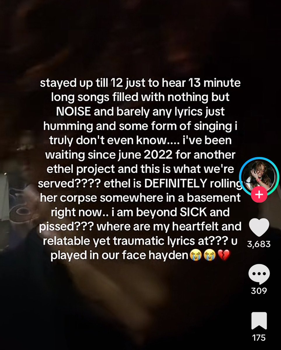 ethel cain should be allowed to hit these people with a hammer