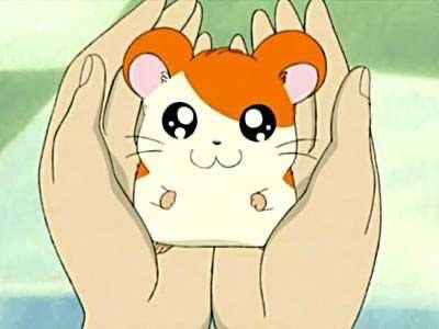 star moved to mytencat (@jaetenstar) on Twitter photo 