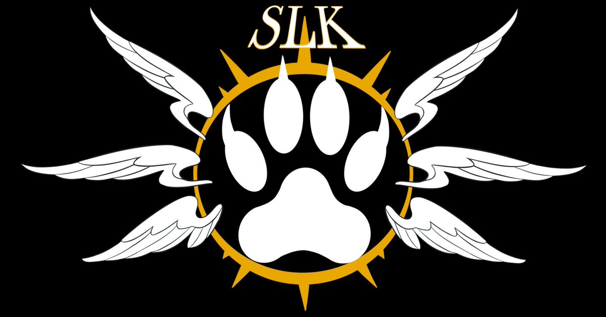 SLK_Dance's tweet photo. Catch us at Anthro New England!💛🪽 
#anthronewengland #ANE2025 #ANE #FurryFandom https://t.co/88SyyQRjtQ