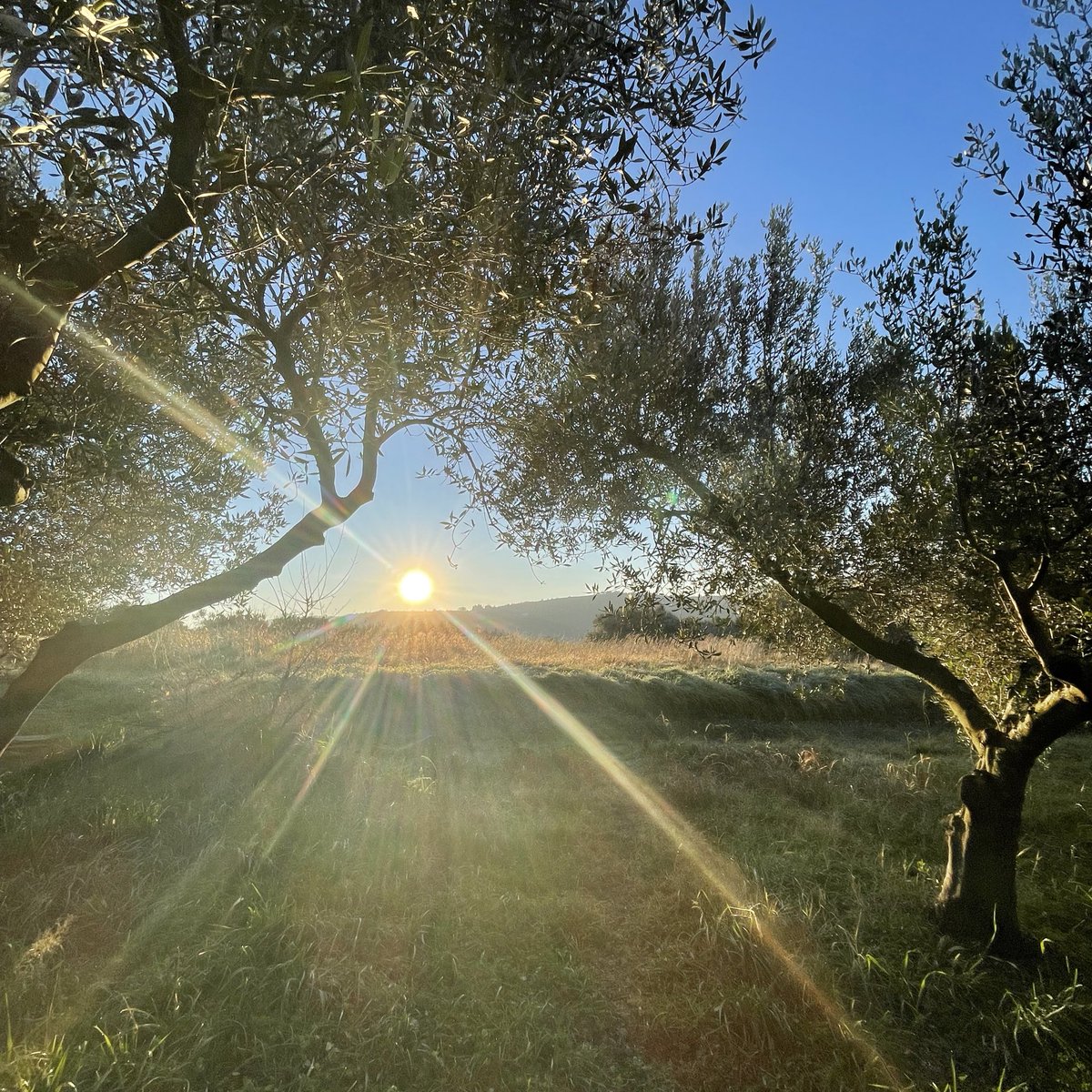 Beginning this year with light. May lights in our hearts come together, like light upon light, to illuminate our journey towards brighter, just and more peaceful future.