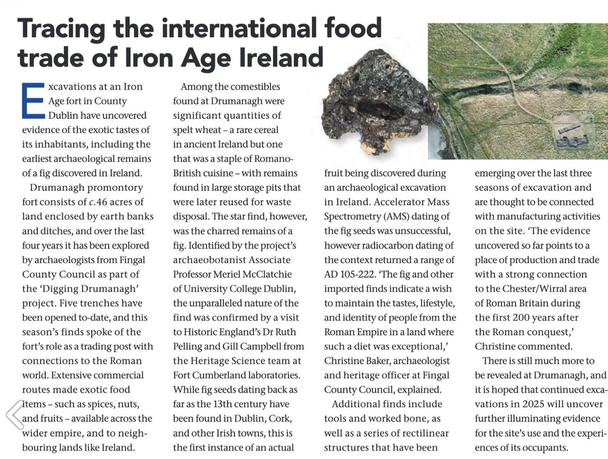 jameseogan's tweet image. Recent research on #Fingal's rich and varied archaeological heritage features twice in the new issue of @CurrentArchaeo. The Drumanagh fig and the TII's 'Building on the Past' by Finola O'Carroll about the archaeological excavations on the N2/M2 Finglas to Asbourne road