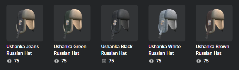 Thmaximo_'s tweet image. New ugc!
Ushanka

#ROBLOX #RobloxDev #DesenvolvedorRoblox

Item: roblox.com/catalog?Keywor…
