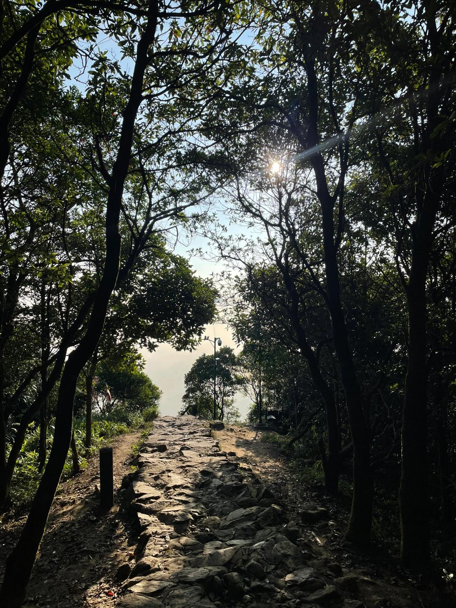 Don't rush, feel the road 🦋
I love this kind of photo, protected by the light💙
#climbing #travel #hiking #daily life #record a good life #photography #america #green leaves #outfit #scenery