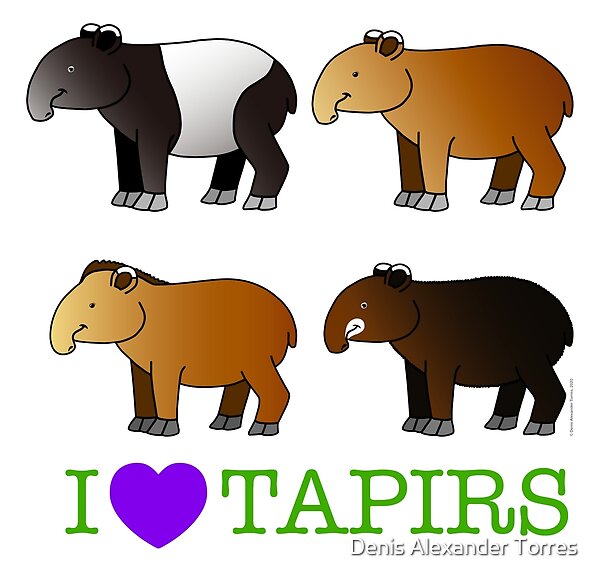 visiontorres2's tweet photo. Varios productos disponibles con este diseño.
Míralos y compra aquí:
https://t.co/s69Ztcsusb
Several items available with this design.
Find them here:
https://t.co/s69Ztcsusb
#redbubble #visiontorres #tapirs #danta #anta #design #tapir #stickers #tshirt #mug https://t.co/8ZTPkoXH9Z