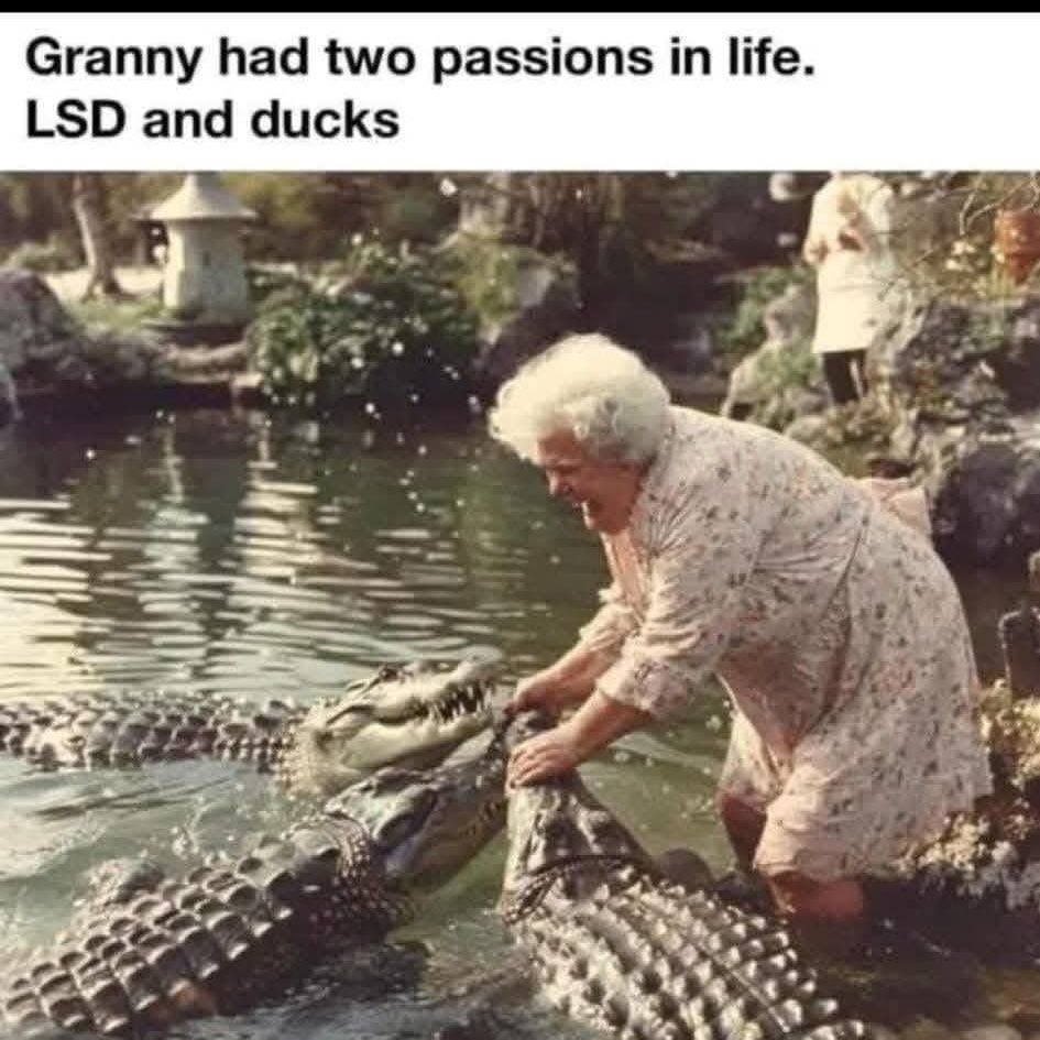 The Fourth Way (@the4thwayyt) on Twitter photo 