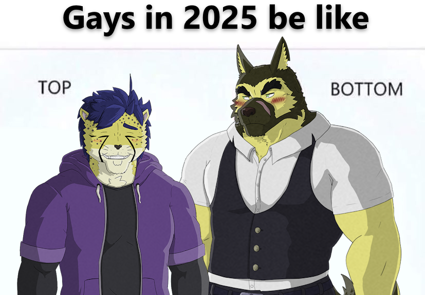 PocketRainMemes's tweet photo. It's 2025 let the anxious teen cat top the intimidating and grumpy detective dog https://t.co/VZCacLQqyr