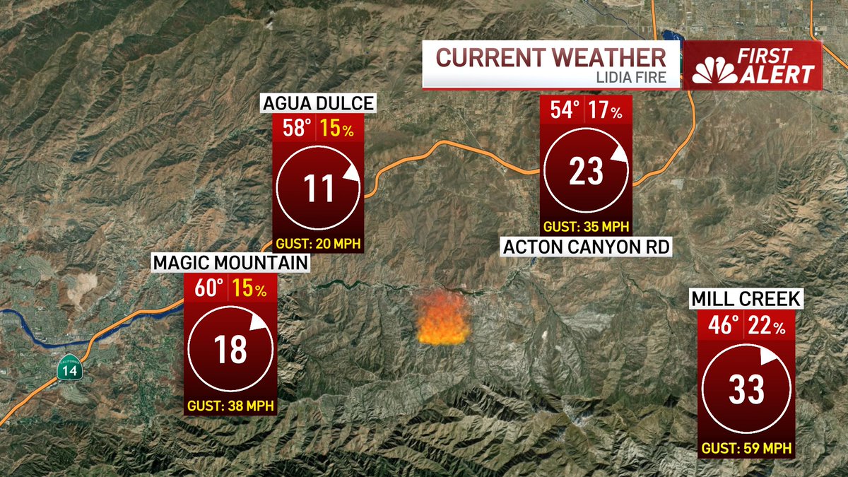 David Biggar tweet media