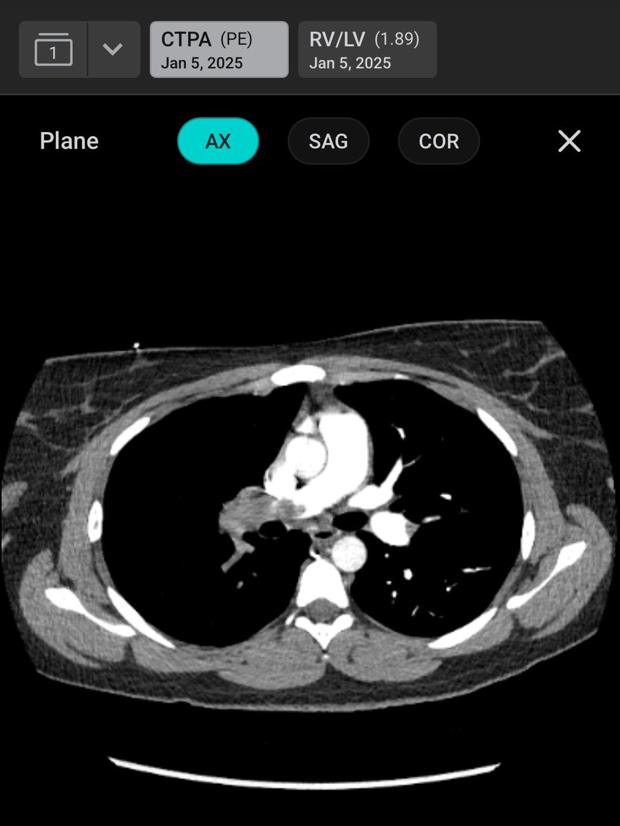 Jonathan Paul tweet media