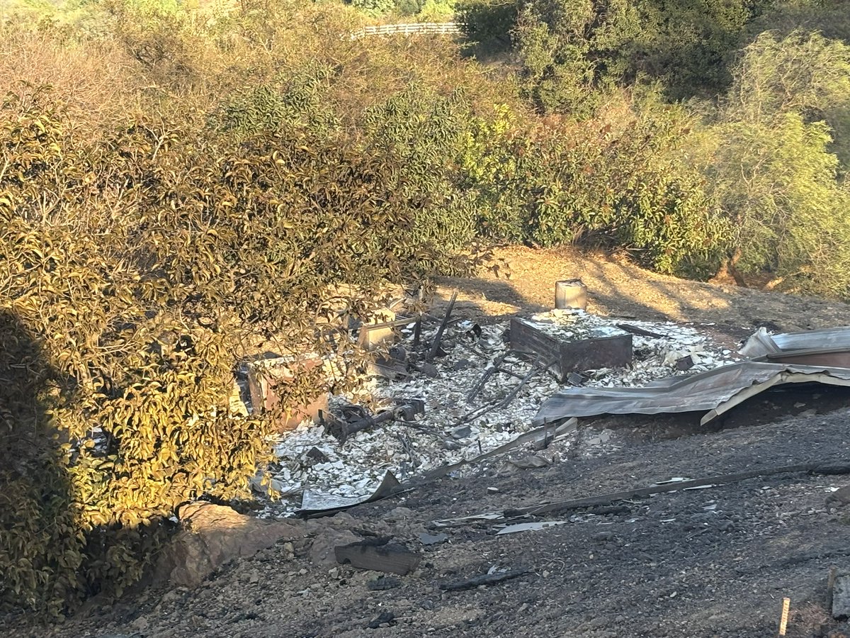 morgan young tweet media