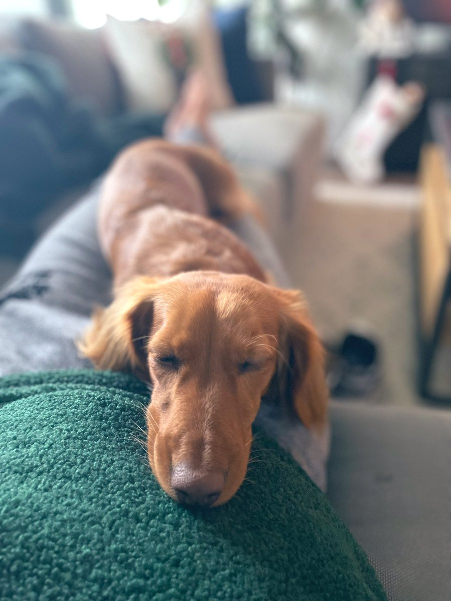 Ian Fields, MD, MCR tweet media