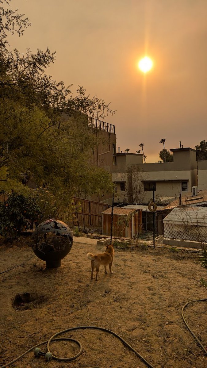 AlanIntera's tweet image. LA Fire 2025