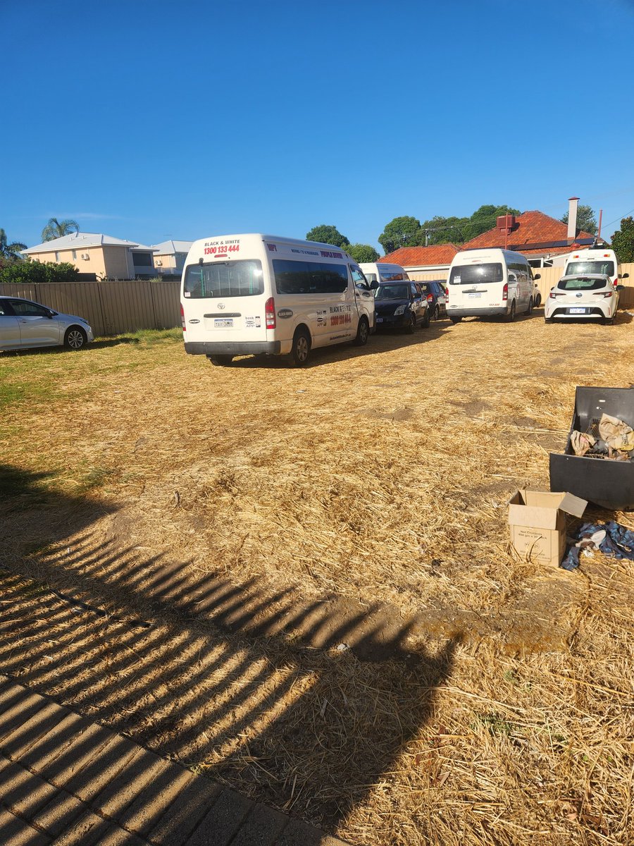 Wolflinkin tweet media