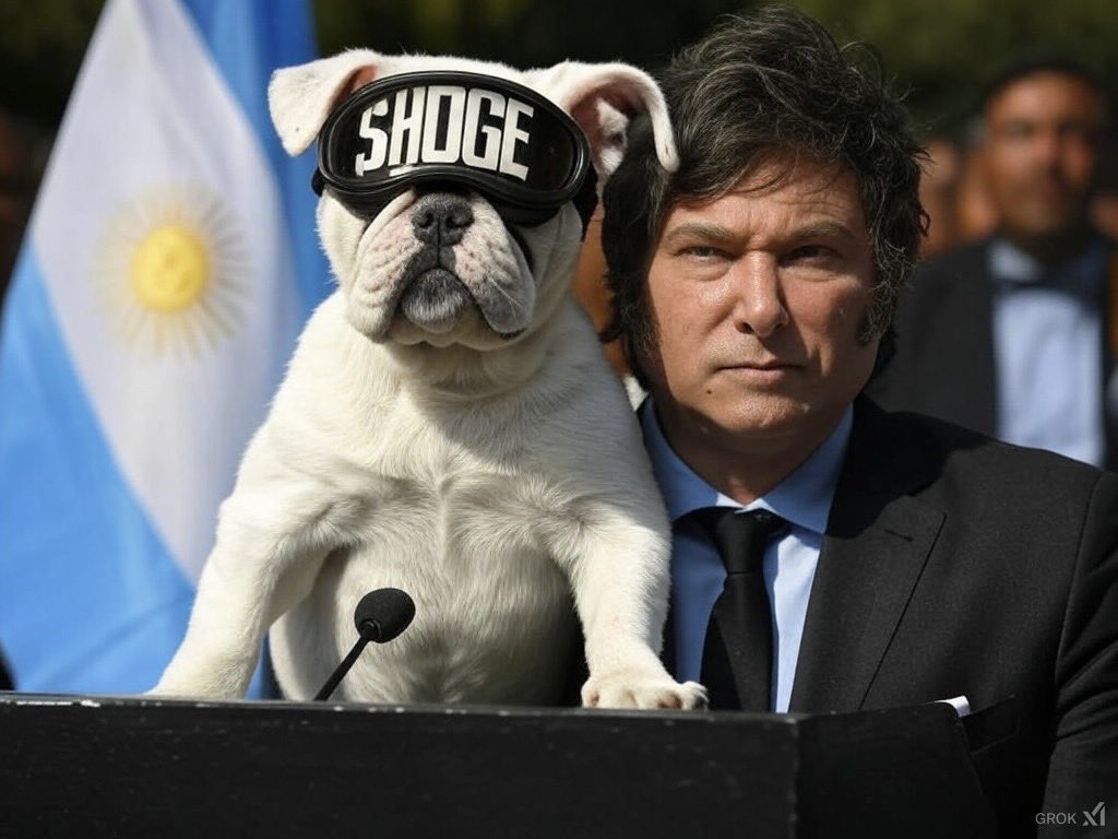 Tothemooooon3's tweet image. Day 3 of posting until Super President @JMilei says hi 👋 to this adorable $HOGE puppy.