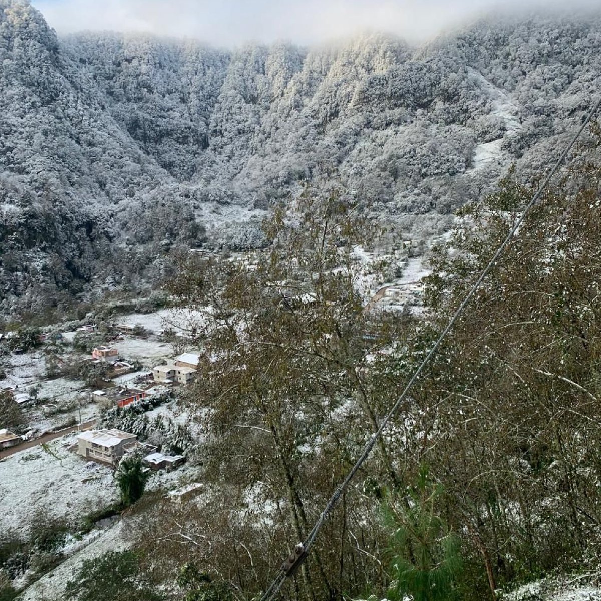 Les agradezco a todas y todos por compartir sus increíbles postales que muestran la belleza de #Hidalgo cubierto de nieve.❄️ 

¡Que tengan excelente día!