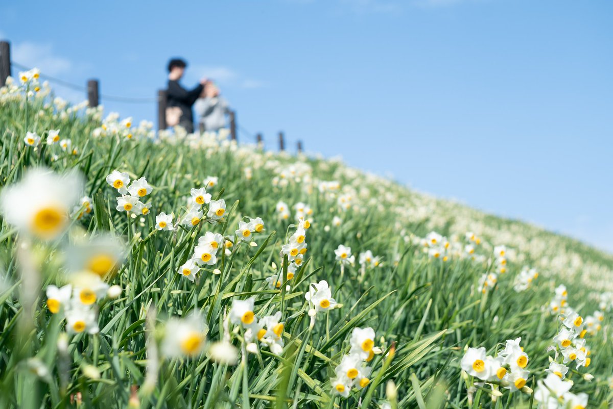 長崎のWA！ tweet media