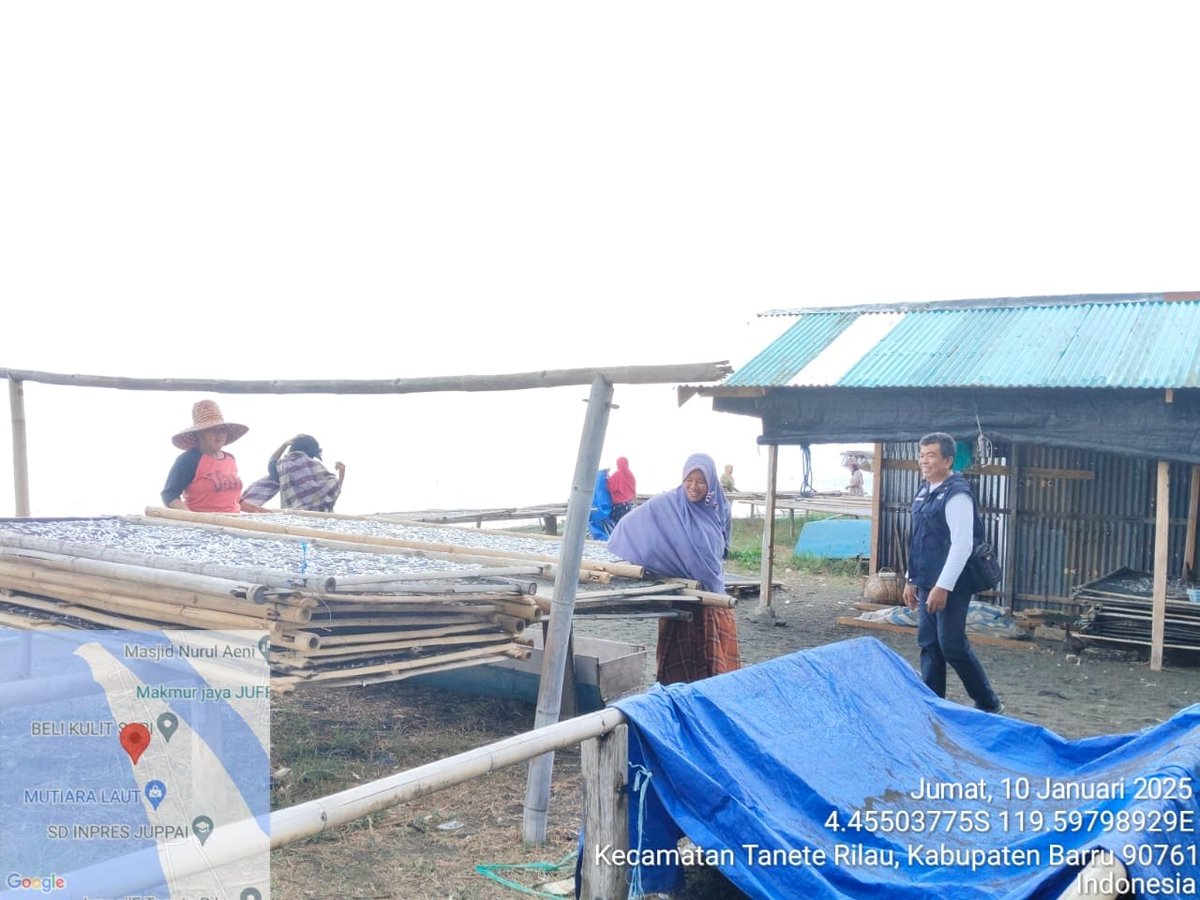 kamaruddin_ppl's tweet photo. Jum'at 10/01/25, Kamaruddin S. Pi, Kab. Barru, (Muhtar Useng) Poklahsar Surya Matene, Ikan Kering Sebanyak 215 Kg, Harga Jual Rp 60.000 / Kg. 
#GiatLuhkanSatminkalMaros
#Barru @BRPBAP3_Maros
#Produksi https://t.co/vwIfa7BWX3