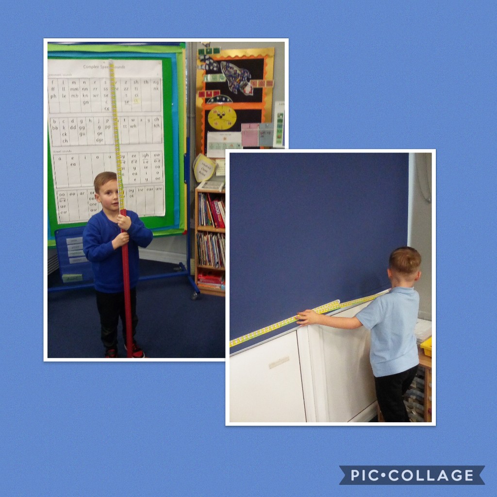 Hydra have been using metre sticks in numeracy to measure items around the classroom.