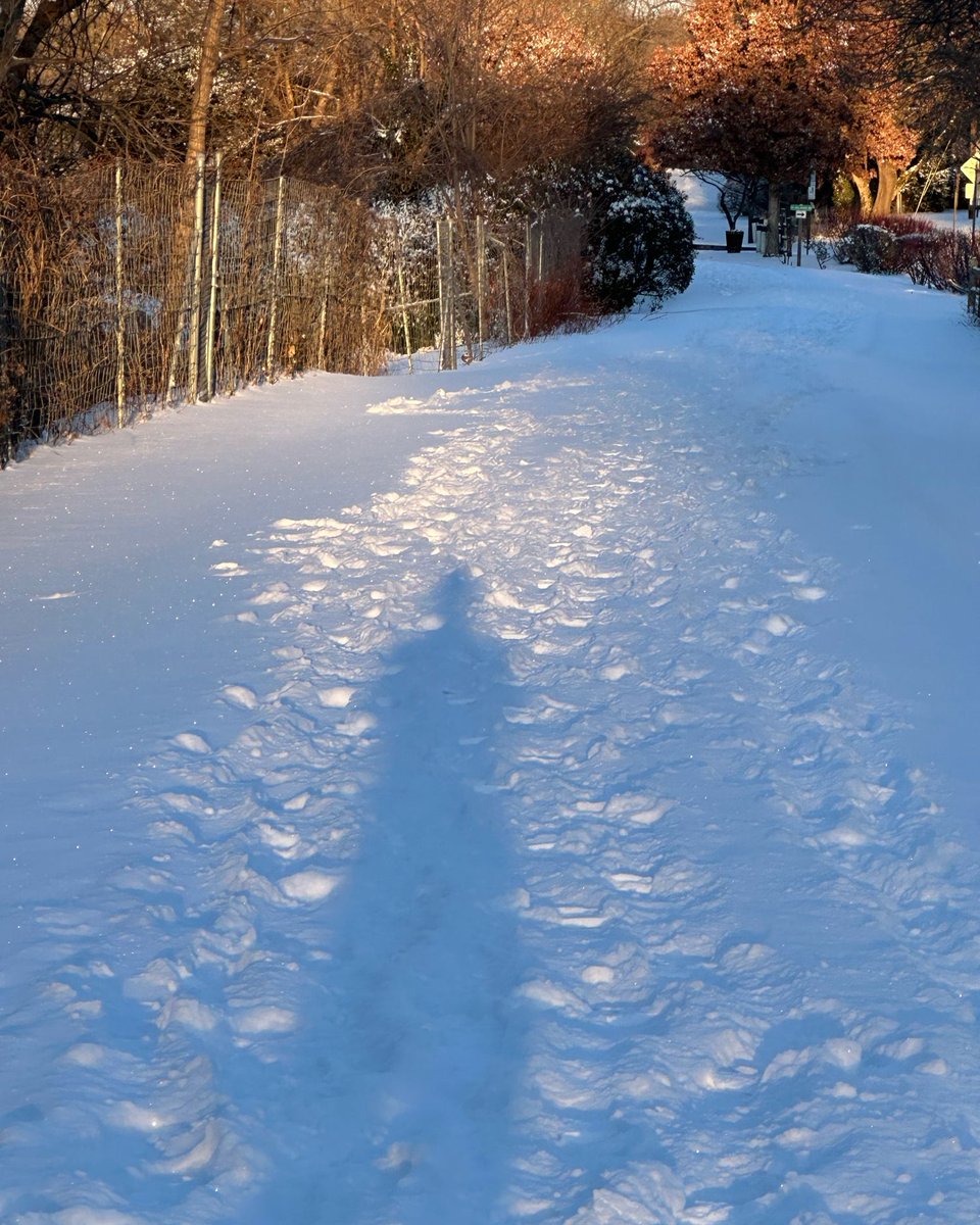 LisaKohnWrites's tweet photo. continuing my winter wonderland
my run monday morning thru the sunshine and snow
breathing in the beauty and the love
even as the earth mourns that day
both are true
#tothemoonandback #thoughtfulleaders #baldisbeautiful #addictedtojoy #thePowerofJoy #cultsurvivor https://t.co/MXuloppFJc