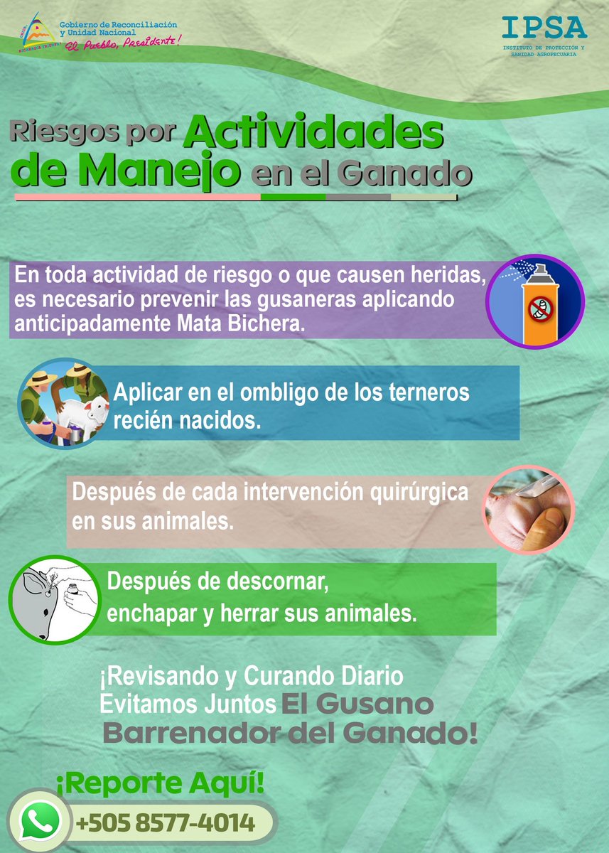 ➡️  𝗦𝗶𝗴𝘂𝗲 𝗲𝘀𝘁𝗮𝘀 𝗿𝗲𝗰𝗼𝗺𝗲𝗻𝗱𝗮𝗰𝗶𝗼𝗻𝗲𝘀 𝗽𝗮𝗿𝗮 𝗽𝗿𝗲𝘃𝗲𝗻𝗶𝗿 𝗲𝗹 𝗚𝘂𝘀𝗮𝗻𝗼 𝗕𝗮𝗿𝗿𝗲𝗻𝗮𝗱𝗼𝗿 𝗲𝗻 𝘁𝘂 𝗴𝗮𝗻𝗮𝗱𝗼🪱🪰🐮

¡𝗥𝗲𝗰𝘂𝗲𝗿𝗱𝗮! Reporta tus casos al IPSA para que podamos tomar acciones y combatir la enfermedad juntos. 💪✨