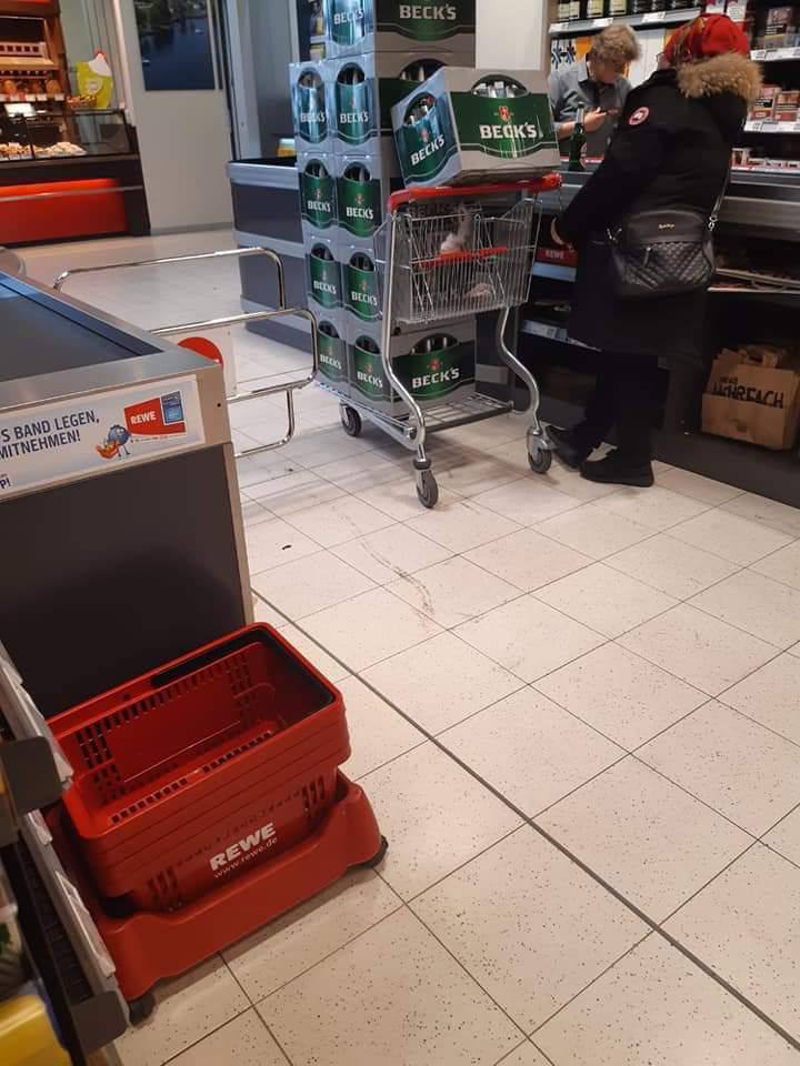 Benni 🦊 tweet media