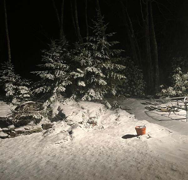 GSD Educación tweet media