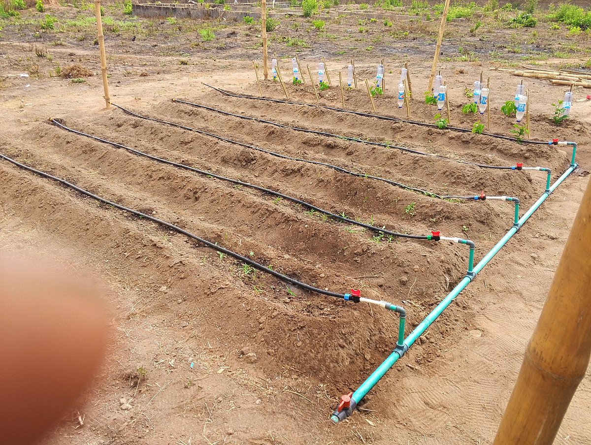 0luwaseyi_'s tweet image. Just finished setting up the irrigation system on my farm! Ready to give my crops the hydration they need to thrive. @Samsonprolific @sFarmLab #EYiATITANS #farmlife #irrigationsystem #agriculture