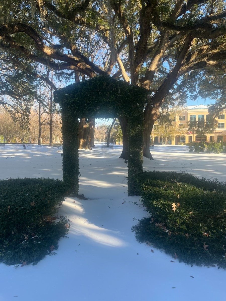 Sharing a moment of meditative calm this morning from the serene Meditation Garden at Bon Secours St. Francis Hospital. ☮️

The snowy blanket adds an extra touch of tranquility to the gardens. A big thanks to Shannon Woudwyk for capturing these beautiful photos!