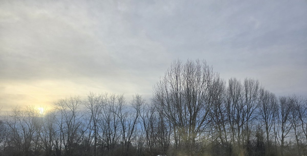 JoJoMarks4's tweet photo. Do you see the beauty of this winter sky? Spring will be here soon enough. Enjoy the moments you have as they are.
#forHisglory #beautifulcreation #relishthisremarkablelife https://t.co/ohdheGiCqC