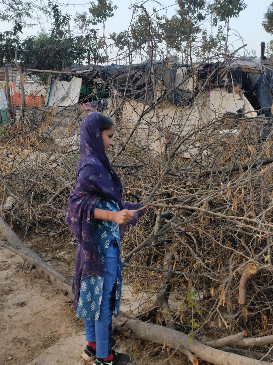 widowhelpdesk's tweet photo. Girls in urban slums risk their safety collecting firewood for daily survival. Solutions like clean energy access (LPG, solar stoves), community programs, and policy advocacy can eliminate this danger, ensuring safety and better opportunities for these children. #widowhelpdesk https://t.co/in1FORRLbO
