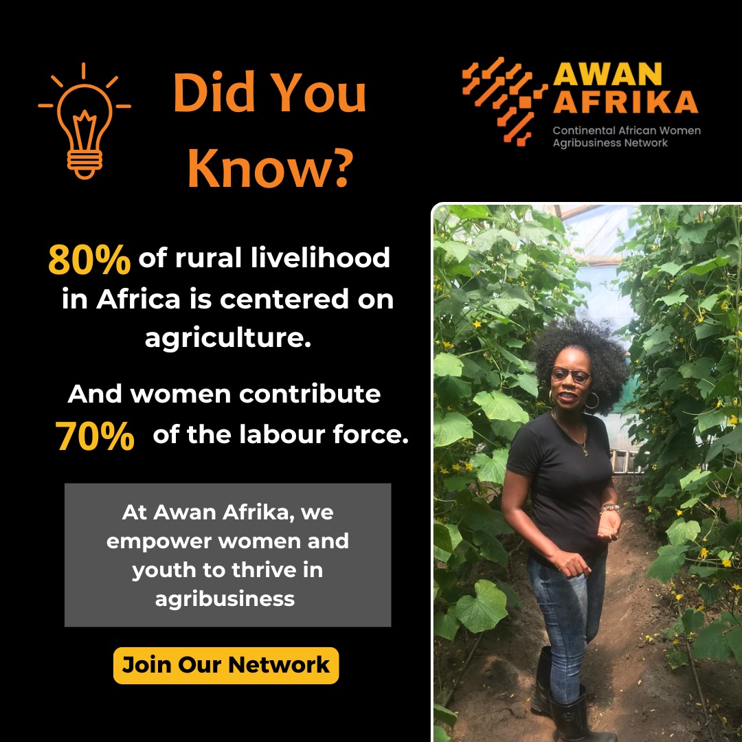At Awan Afrika, we are committed to empowering women and youth in agribusiness with the knowledge, tools, and business skills they need to grow their businesses.

Join our network to grow your agribusiness:
awanafrika.org/join-us
