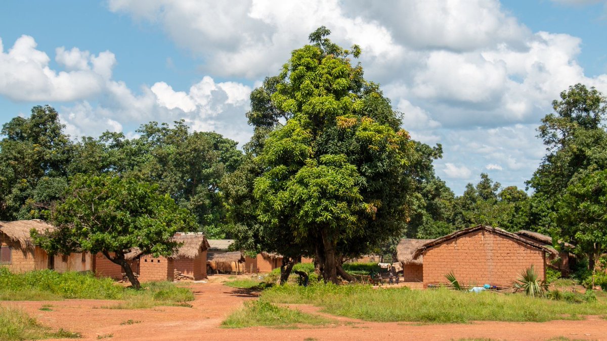 Following training from our partner Fondation Vegas with 20 young people from communities around Sibut in CAR, one young woman put her new mediation skills into practice challenging gender norms, resolving a family dispute &amp; inspiring local leaders. More: buff.ly/4arRL8E