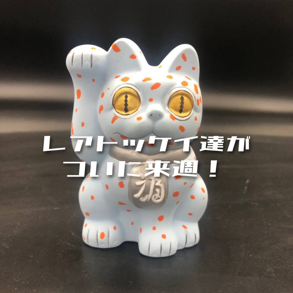 gifunatures's tweet photo. 来週中に入荷予定です🌟🌟

1部チラ見せ٩( ¯﹀¯ )ว

なかなかみないレアモルフ達なのでたのしみ〜🤭💙💙

 #ネイチャーズ岐阜 #ネイチャーズ岐阜店 #爬虫類 #爬虫類専門店 #トッケイ #トッケイゲッコー #tokay https://t.co/MGa02rFgIM