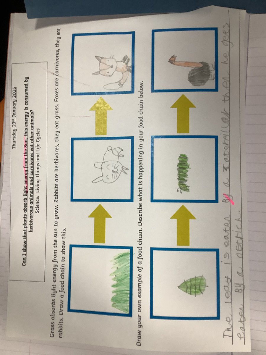 St Thomas More Hull tweet media