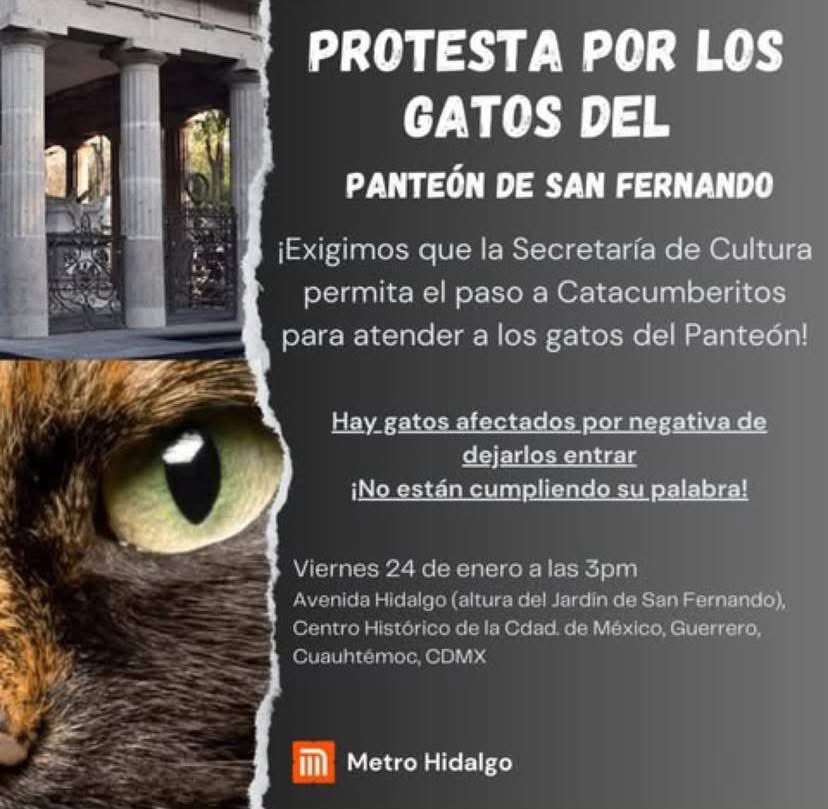 El_gatitoGordo's tweet photo. https://t.co/zQWJPQO8Bu