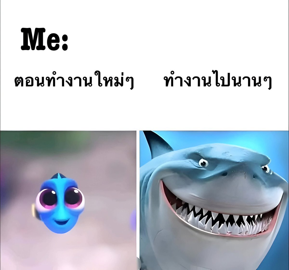 ช่างแม่ง🐰🏳️🌈 tweet media
